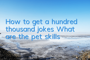 How to get a hundred thousand jokes? What are the pet skills?