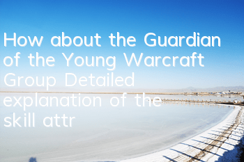 How about the Guardian of the Young Warcraft Group? Detailed explanation of the skill attributes of the Guardian