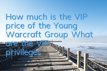 How much is the VIP price of the Young Warcraft Group? What are the VIP privileges?