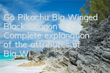 Go Pikachu Big Winged Black Dragon is OK? Complete explanation of the attributes of Big Winged Black Dragon