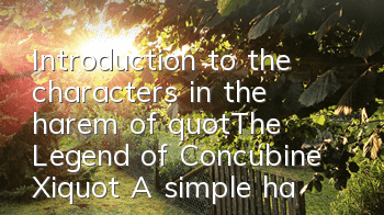 Introduction to the characters in the harem of 