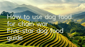 How to use dog food for chain war? Five-star dog food guide