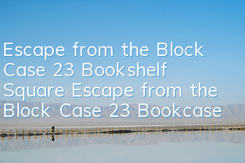 Escape from the Block Case 23 Bookshelf Square Escape from the Block Case 23 Bookcase