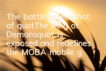 The battle screenshot of 