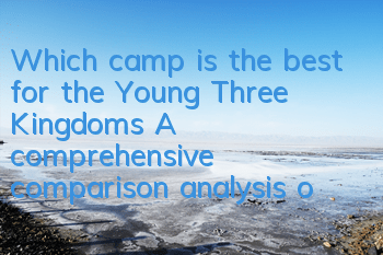 Which camp is the best for the Young Three Kingdoms? A comprehensive comparison analysis of the new version of the four major camps