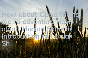 How about Oppa taking me to adventure? How about Huolan Shanchi? Introduction to Huolan Shanchi's attributes