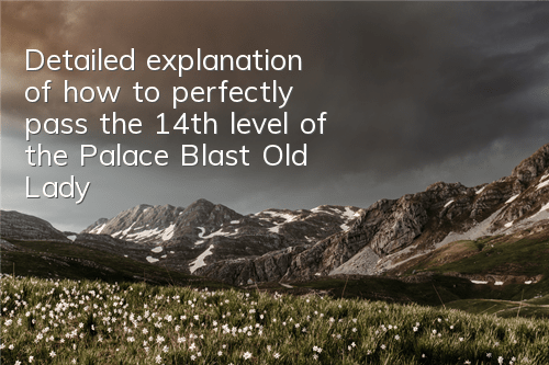 Detailed explanation of how to perfectly pass the 14th level of the Palace Blast Old Lady 2