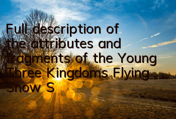 Full description of the attributes and fragments of the Young Three Kingdoms Flying Snow Set