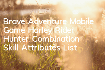 Brave Adventure Mobile Game Harley Rider Hunter Combination Skill Attributes List