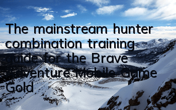 The mainstream hunter combination training guide for the Brave Adventure Mobile Game Gold Storm