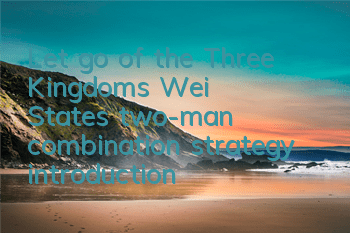 Let go of the Three Kingdoms Wei State's two-man combination strategy introduction