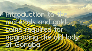 Introduction to the materials and gold coins required for upgrading the old lady of Gongbao 2 young master