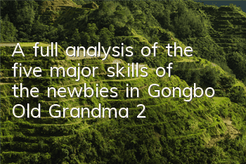 A full analysis of the five major skills of the newbies in Gongbo Old Grandma 2