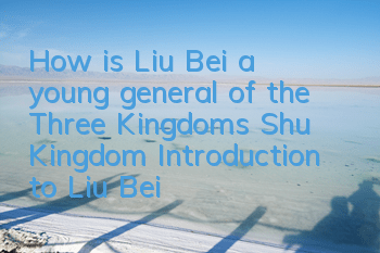 How is Liu Bei, a young general of the Three Kingdoms Shu Kingdom? Introduction to Liu Bei's attribute skills