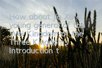 How about Jia Xu, a young general of the Wei Kingdom of the Three Kingdoms? Introduction to Jia Xu's attribute skills