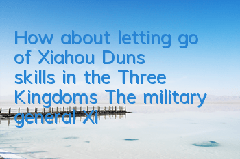 How about letting go of Xiahou Dun's skills in the Three Kingdoms? The military general Xiahou Dun's attributes are fully solved