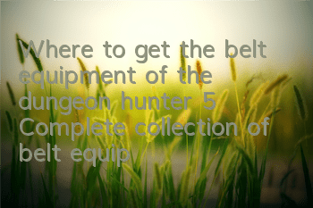 Where to get the belt equipment of the dungeon hunter 5? Complete collection of belt equipment drops