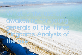 What is the use of awakening for young generals of the Three Kingdoms? Analysis of the use of awakening