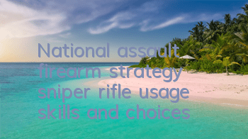 National assault firearm strategy, sniper rifle usage skills and choices