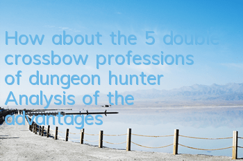 How about the 5 double crossbow professions of dungeon hunter? Analysis of the advantages and disadvantages of double crossbow professions