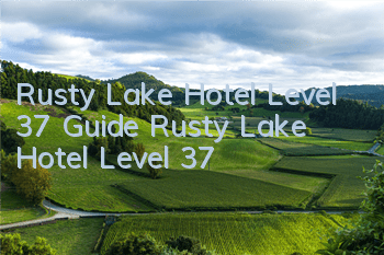 Rusty Lake Hotel Level 37 Guide Rusty Lake Hotel Level 37