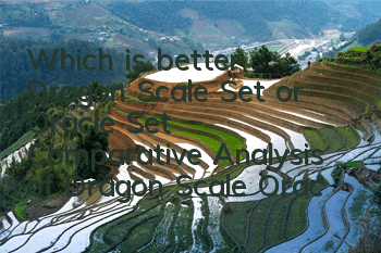 Which is better, Dragon Scale Set or Oracle Set? Comparative Analysis of Dragon Scale Oracle