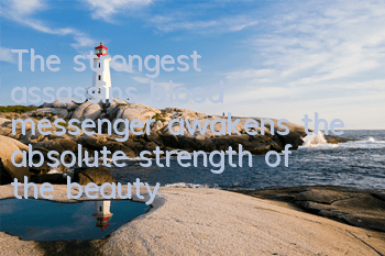 The strongest assassin's blood messenger awakens the absolute strength of the beauty