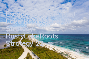 Escape from the Rust Lake Roots Level 22 Strategy RustyLakeRoots Strategy 22