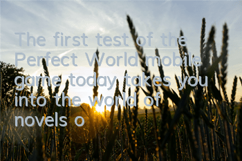 The first test of the Perfect World mobile game today takes you into the world of novels of the Perfect World