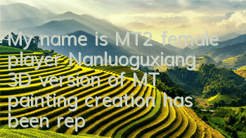 My name is MT2 female player Nanluoguxiang 3D version of MT painting creation has been reported by CCTV