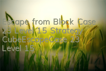 Escape from Block Case 23 Level 15 Strategy CubeEscapeCase 23 Level 15