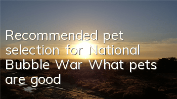 Recommended pet selection for National Bubble War What pets are good