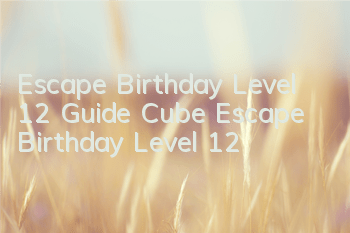 Escape Birthday Level 12 Guide Cube Escape Birthday Level 12