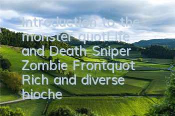 Introduction to the monster 