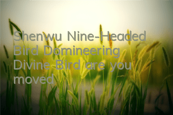 Shenwu Nine-Headed Bird, Domineering Divine Bird, are you moved