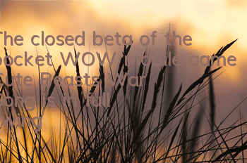 The closed beta of the pocket WOW mobile game 