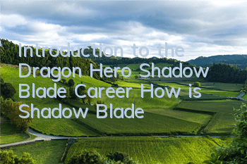 Introduction to the Dragon Hero Shadow Blade Career How is Shadow Blade