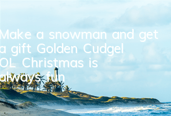 Make a snowman and get a gift 