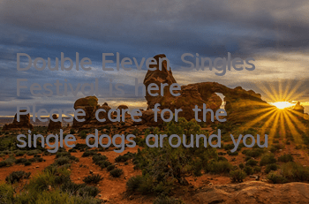 Double Eleven Singles Festival is here Please care for the single dogs around you