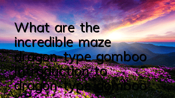 What are the incredible maze dragon-type gomboo? Introduction to dragon-type gomboo