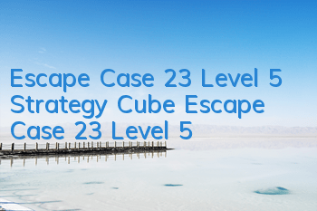 Escape Case 23 Level 5 Strategy Cube Escape Case 23 Level 5