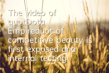 The video of 