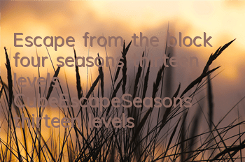 Escape from the block four seasons thirteen levels CubeEscapeSeasons thirteen levels