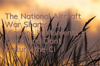 The National Aircraft War Shares 100 Missions in Moments in Quick and Don't Disturb the Civilians How to Complete 100 Missions in the Circle of Friends