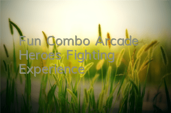 Fun Combo Arcade Heroes Fighting Experience