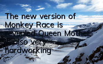 The new version of 