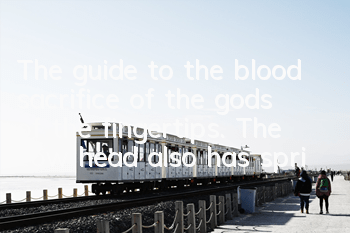 The guide to the blood sacrifice of the gods of the fingertips. The cow head also has spring