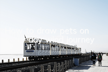 How to draw pets on every day wind journey