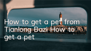 How to get a pet from Tianlong Bazi? How to get a pet