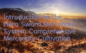 Introduction to the Hero Sword Mercenary System, Comprehensive Mercenary Cultivation